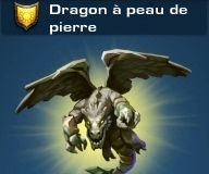 DragonPeauDePierre