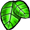 feuille