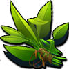 herbes communes